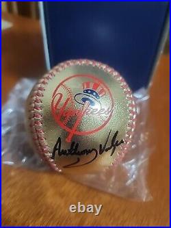 Anthony volpe gold autograph baseball. Fanatics