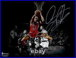 Dennis Rodman Chicago Bulls Autographed 11 x 14 Spotlight Rebound Photograph