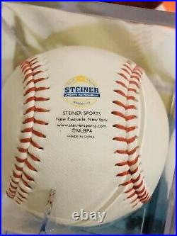 Mike Piazza Signed Baseball Autograph Auto Steiner sports memorabilia